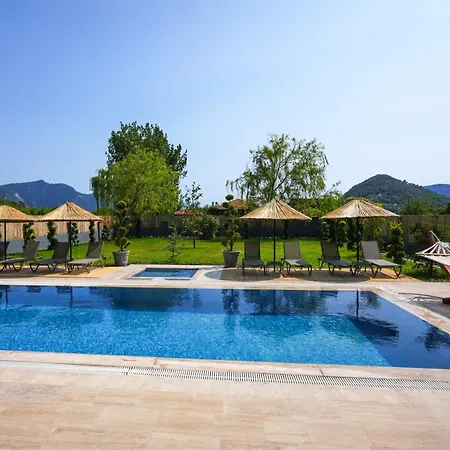 Dalyan Nike-2 *